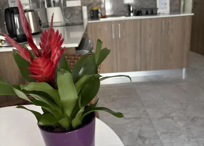 Apartamento Luca Apts Napa *