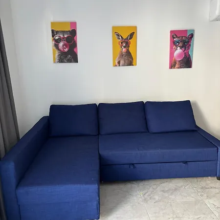 Luca Apts Napa