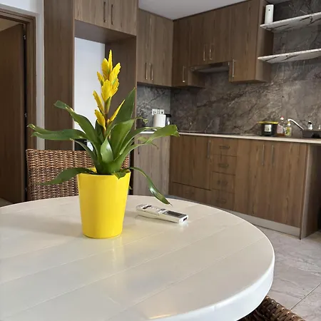 Luca Apts Napa
