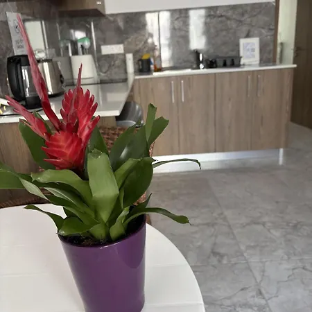 Апартаменты Luca Apts Napa *